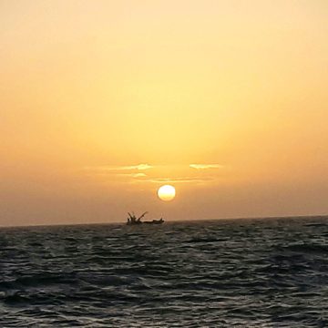 20210129_085040-EFFECTS