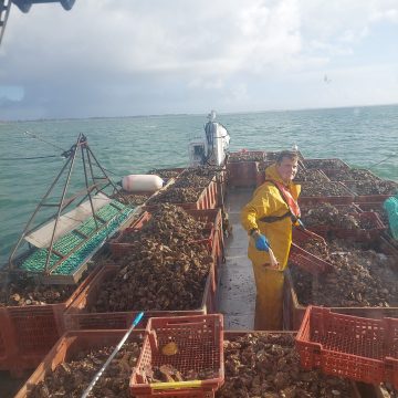 IMG_20220214_111503_01